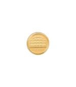 Hawa Mahal coin only